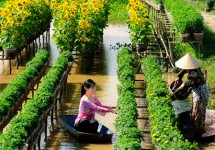 Tour Du Lịch Mùa Nước Nổi 3 Ngày 2 Đêm (Long An - Đồng Tháp - Châu Đốc)